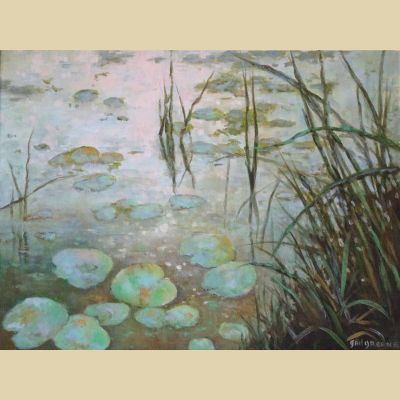 Waterlilies at Dawn